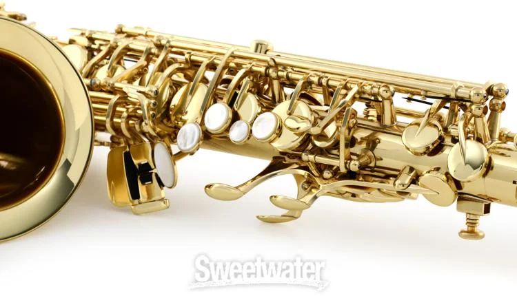  Selmer SAS711 Professional Alto Saxophone - Lacquer