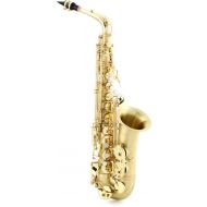 Selmer SAS711 Professional Alto Saxophone - Matte Demo