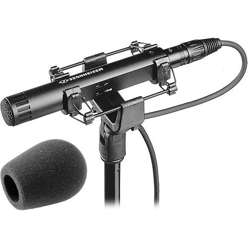 젠하이져 Sennheiser MKH 50 P48 Microphone