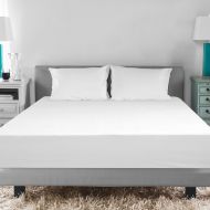 SensorPEDIC Sensorpedic MicroShield Mattress Protector