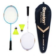 Senston Graphite Mini Badminton Set Junior Badminton Racket Kit Outdoor Sport Game Set,Gifts for Kids-3 Choices
