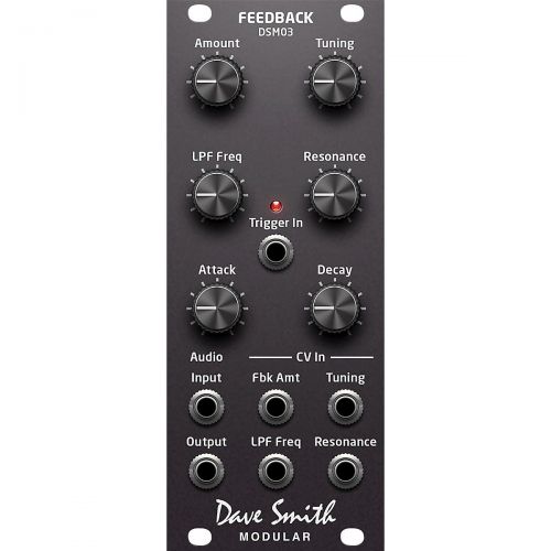  Dave Smith Instruments},description:The DSM03 Feedback Module is Dave Smith’s third offering for modular synths. At the heart of this unique module is a tuned feedback line for sou