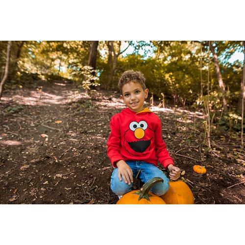  Sesame Street Elmo Abby Cookie Monster Fleece Pullover Hoodie Infant to Little Kid