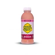 Shade Tree Organic Lemonade | USDA Certified Organic, Low Calorie & Low Sugar | No Artificial...