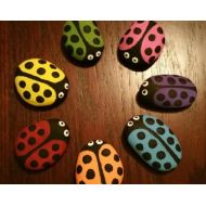 ShadesOfLoveGiftShop Rainbow Ladybugs Acrylic Hand Painted Rocks Set of 7 - Free Shipping!