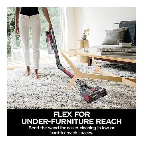  Shark IZ163H Pet Plus Cordless Stick Vacuum with Self-Cleaning Brushroll and HEPA Filter, Lightweight Deep Cleaning Vacuum for Carpet and Hard Floors, Folds for Easy Storage, 40-min Runtime, Raspberry