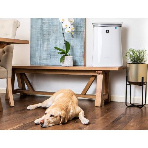  SHARP FPK50UW Air Purifier with Plasmacluster Ion Technology for Medium-Sized Rooms, Bedroom or Office. True HEPA Filter for Dust, Smoke, Pollen, and Pet Dander may last up-to 2 Ye