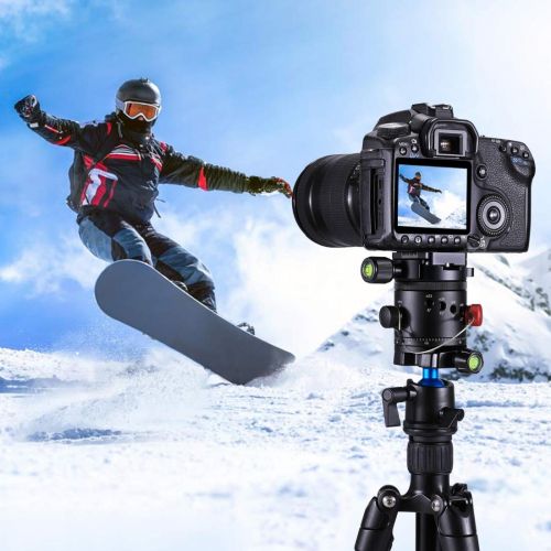  ShenBiadolr Ball Head Aluminum Alloy Panoramic Indexing Rotator Ball Head with Quick Release Plate for Camera Tripod Head