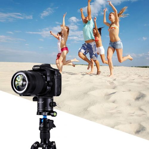  ShenBiadolr Aluminum Alloy Panoramic Indexing Rotator Ball Head for Camera Tripod Head with Quick Release Plate.