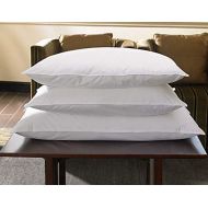 Sheraton Hotels & Resorts Sheraton Hotel Queen Down Alternative Pillow