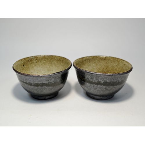  Shigaraki Ware Shigaraki Pottery Sumi-iro Kyusu Teapot and Yunomi Set