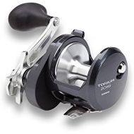 SHIMANO Torium 20HGA Reel