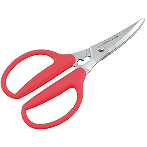  Shimomura e Mamakukku curve blade kitchen scissors 36781