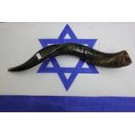 /Shofars Shofar 21 natural kosher yemenite kudu horn shofar best sound best price best quality