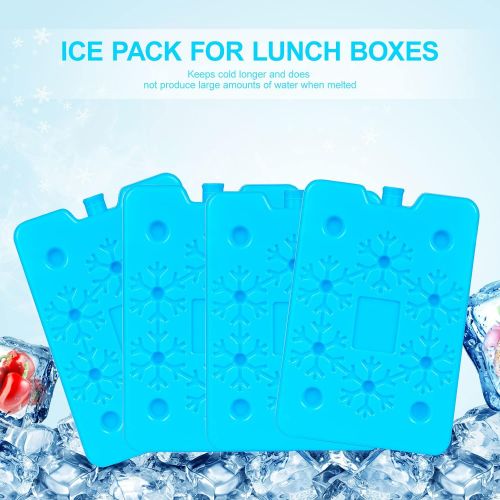  shuangjishan Ice Pack for Lunch Box,Ice Pack Cooler Reusable,Keep Cold & Fresh,Long Lasting,Thin Freezer Ice Pack for Camping,Fishing,Beach & Picnics,Set of 4,Large