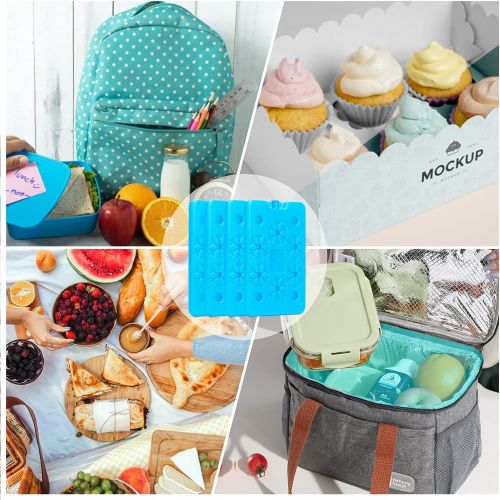  shuangjishan Ice Pack for Lunch Box,Ice Pack Cooler Reusable,Keep Cold & Fresh,Long Lasting,Thin Freezer Ice Pack for Camping,Fishing,Beach & Picnics,Set of 4,Large