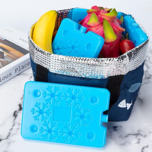  shuangjishan Ice Pack for Lunch Box,Ice Pack Cooler Reusable,Keep Cold & Fresh,Long Lasting,Thin Freezer Ice Pack for Camping,Fishing,Beach & Picnics,Set of 4,Large