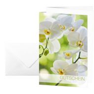 [아마존핫딜]Sigel SIGEL DS005 Gutschein-Karten Orchid, 10er Set mit Umschlagen und Einlageblatter - weitere Designs