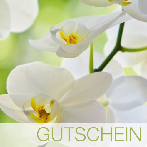  [아마존 핫딜]  [아마존핫딜]Sigel SIGEL DS005 Gutschein-Karten Orchid, 10er Set mit Umschlagen und Einlageblatter - weitere Designs