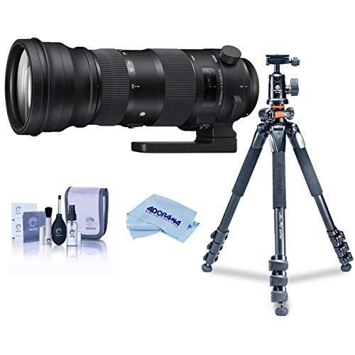  Sigma 150-600mm F5-6.3 DG OS HSM Sport Lens for Nikon DSLR Cameras - Bundle with Vanguard Alta Pro 264AT Tripod and TBH-100 Head with Arca-Swiss Type QR Plate, Cleaning Kit, Microf