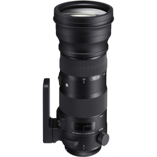  Sigma 150-600mm F5-6.3 DG OS HSM Sport Lens for Nikon DSLR Cameras - Bundle with Vanguard Alta Pro 264AT Tripod and TBH-100 Head with Arca-Swiss Type QR Plate, Cleaning Kit, Microf