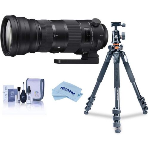  Sigma 150-600mm F5-6.3 DG OS HSM Sport Lens for Nikon DSLR Cameras - Bundle with Vanguard Alta Pro 264AT Tripod and TBH-100 Head with Arca-Swiss Type QR Plate, Cleaning Kit, Microf