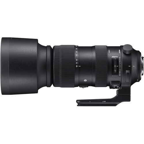  Sigma 60-600mm f/22-32 Fixed Zoom F4.5-6.3 DG OS HSM Camera Lenses, Black (730955), Nikon F