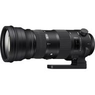 Sigma 150-600mm 5-6.3 Sports DG OS HSM Lens for Nikon