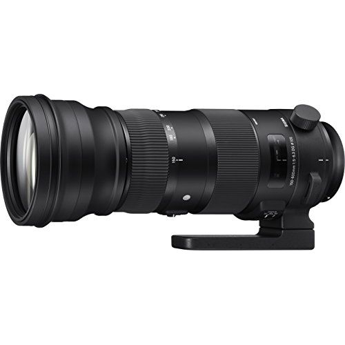  Sigma 150-600mm 5-6.3 Sports DG OS HSM Lens for Nikon