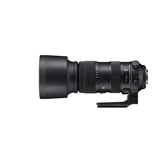  Sigma 60-600mm f/22-32 Fixed Zoom F4.5-6.3 DG OS HSM Camera Lenses, Black (730954), Canon EF