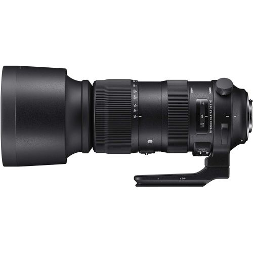  Sigma 60-600mm f/22-32 Fixed Zoom F4.5-6.3 DG OS HSM Camera Lenses, Black (730954), Canon EF