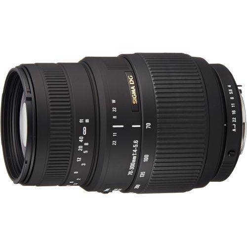  Sigma 70-300mm f4-5.6 DG Macro Telephoto Zoom Lens for Sigma SLR Cameras
