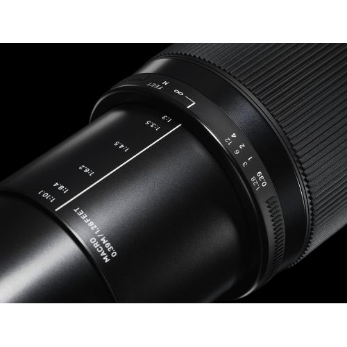  Sigma 18-300mm F3.5-6.3 Contemporary DC Macro OS HSM Lens for Sigma