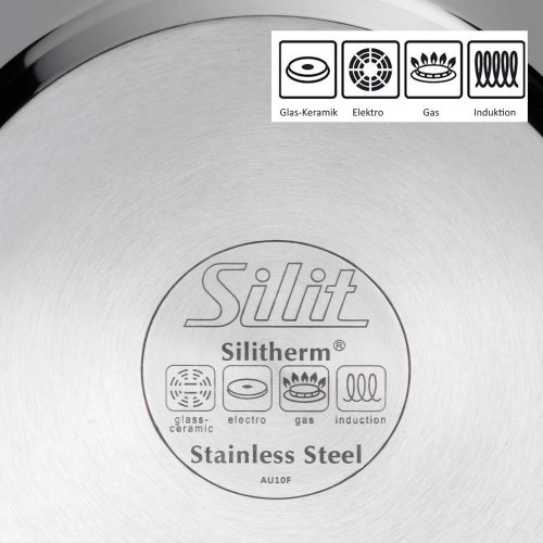  Silit Calabria Frying Pan, Stainless Steel Coating, Induction Suitable, Stainless Steel Handle, PFOA (Perfluorooctanoic Acid)-Free for Gentle Frying, Stainless steel, 24 cm