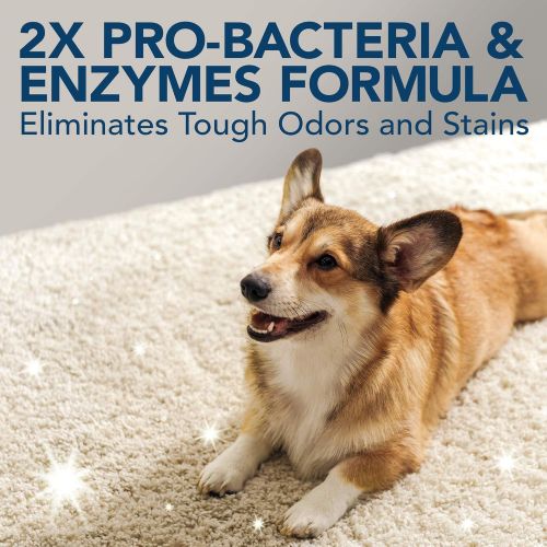  Simple Solution Pet Stain and Odor Remover | Enzymatic Cleaner with 2X Pro-Bacteria Cleaning Power