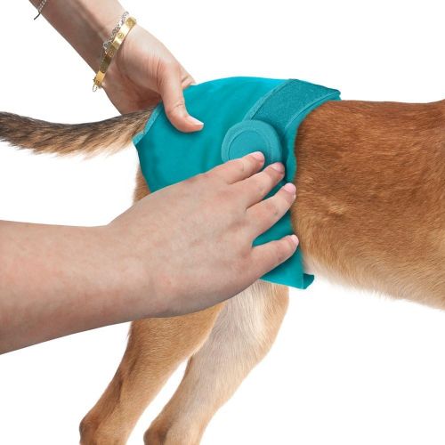  Simple Solution Washable Reusable Female Dog Diapers (X-Large, 3 Pack)