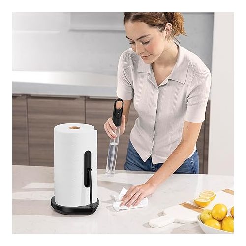 심플휴먼 simplehuman Standing Paper Towel Holder with Spray Pump, Black Stainless Steel