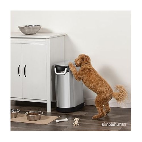 심플휴먼 simplehuman 30 Liter, 32 lb / 14.5 kg Large Pet Food Storage Container for Dog Food, Cat Food, and Bird Feed, Brushed Stainless Steel