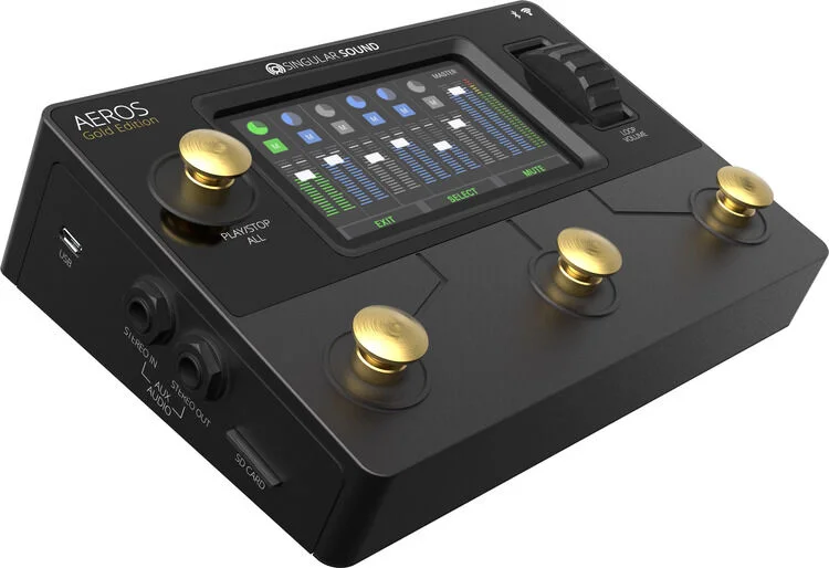  Singular Sound Aeros Loop Studio Gold Edition Stereo Looper Pedal Demo