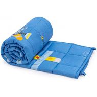 [아마존베스트]Sivio Kids Weighted Blanket, 3lbs, 36 x 48 inches, 100% Natural Cotton Heavy Blanket for Kids and Teens, Blue Airplane
