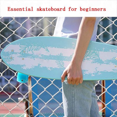  Skateboards Professionelles High-End-Big Fish Board Anfaenger Maennliche Und Weibliche Erwachsene Kinder Allgemein Allradstrasse Brush Street Kleines Fischbrett Reisen