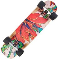 Skateboards Action-Aktivitaten Double-Warping-Typ Cruise Board Reisebuerste Street Road Board Professionelles Board 80 cm Rot Modern (Color : Red, Size : 80 * 20 * 10cm)