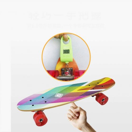  Skateboards U-Boot Kleines Fischbrett Mini-Ahornbrett 57 * 15 * 11 Regenbogenfarbe Anfanger Pinsel Street Travel Vierradriger Roller (Color : Multi-Colored, Size : 57 * 15 * 11cm)