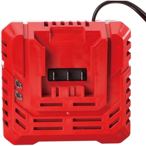  SKIL 20V Standard Charger - SC535801