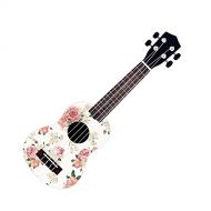 Skinnys Webworks Ukulele - Floral Paper w Gig Bag