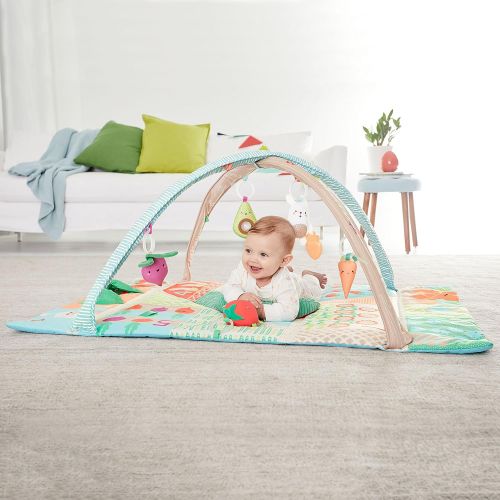 스킵 Skip Hop Farmstand Grow & Play Activity Gym