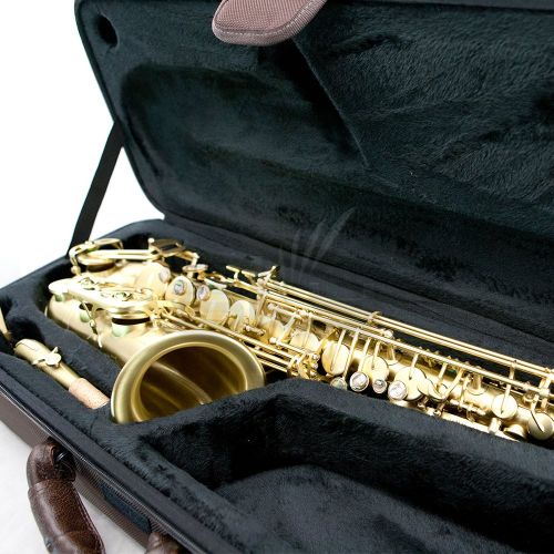  Sky ALTLW201 Alto Saxophone Case
