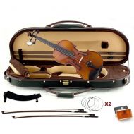 Sky Music Sky Guarantee High Quality Sound Artist 500 Series 44 Violin Fiddle Outfit 1 Year Manufacturer Warranty