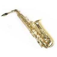 Sky Music Sky E Flat Lacquer Alto Saxophone with F# Key, Case and 10 Reeds, Gold