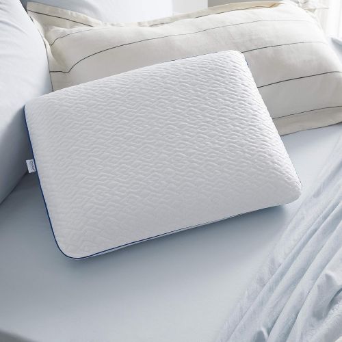  Sleep Innovations Forever Cool Gel Memory Foam Pillow with Cooling Cover, Made in The USA with a 5-Year Warranty - Standard Size
